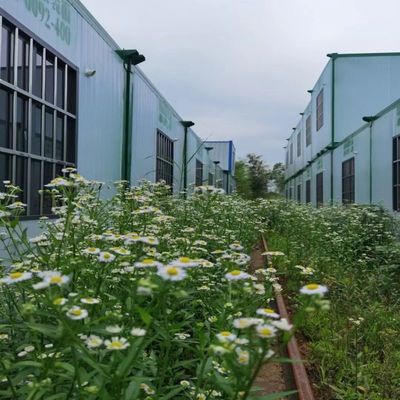 20ft 2 Storey Container House for Luxury Living and Work in Steel Structure Material